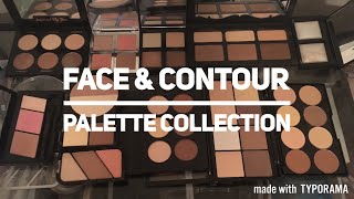 CHEEK & CONTOUR PALETTE COLLECTION || MAKEUP COLLECTION 2017 || ASHLEY DEVINO