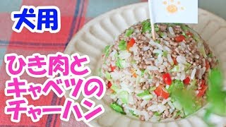 犬はキャベツを食べても大丈夫 きゃべつはなぜかワンコが好きな野菜 カリーノ ペット 犬はキャベツを食べても大丈夫 きゃべつはなぜかワンコが好きな野菜 カリーノ ペット
