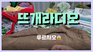 [뜨개라디오] ep.5 푸르시오의 하루 / 뜨개책 / 뜨린이 / 보그니팅 / 숙제 / 쿠쿠다스 / knit X crochet