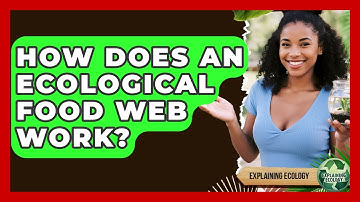 How Does An Ecological Food Web Work? - Explaining Ecology