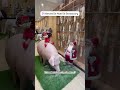 🇫🇷🎄 08/12/2024 Strasbourg Un après-midi au Marché de Noël Off à Strasbourg