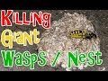 Killing Wasps and Their Nests in Your Yard with Spray - Apply Spray at Sunset To Avoid Getting Stung