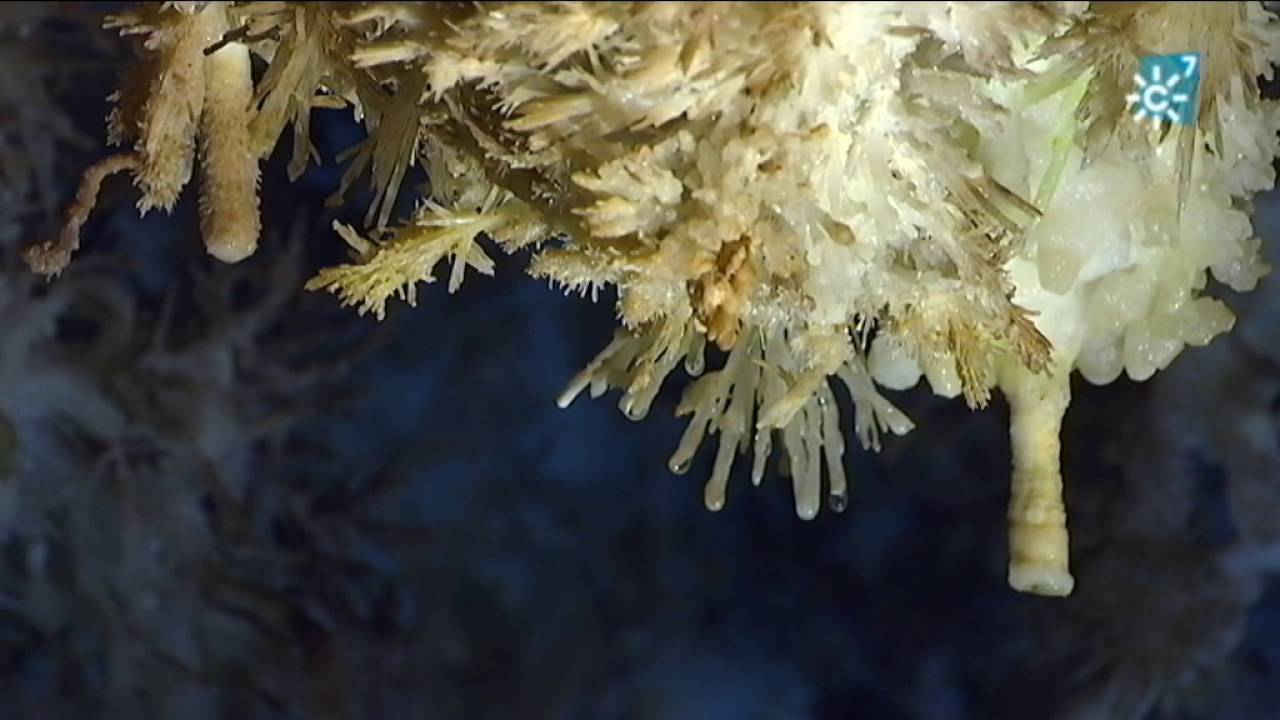 Gruta de las Maravillas en Aracena