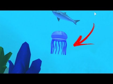 Roblox Virei Um Peixe E Entrei Num Aquario Gigante Aquarium Simulator - tubarao gigante engoliu o navio no roblox youtube