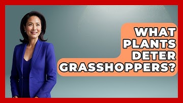 What Plants Deter Grasshoppers? - Insects and Invaders