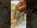 Kolkata Style Mutton Biryani| Shimla Biryani | Kolkata Biryani