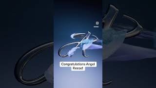 Famous Signature Season: Angel Reese Drops Her Official Shoe Logo Wealth