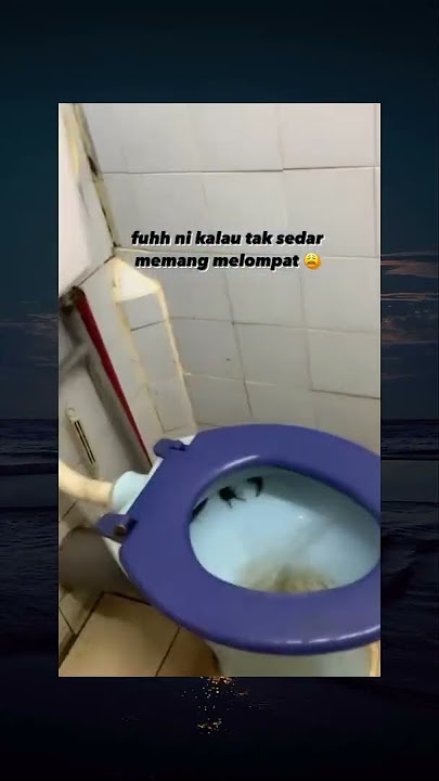 🙀🙀JADI KEBAYANG KALAU KE KAMAR MANDI MALAM GIMANA??? #dadu13 #meme #lucu #kocak #guyon #fypシ