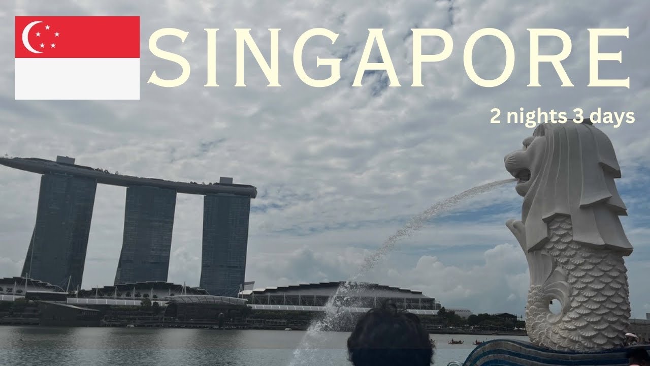 アフタヌーンティーを巡るシンガポール３日間🇸🇬🫖｜ナイトサファリ・ホーカー・TWG・BACHA｜