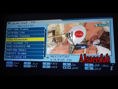 تردد قناة السعيدة Alsaeedah الجديد 2023 علي القمر نايل سات