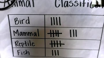 Module 7 lesson 3 Maddox