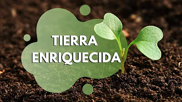 ¿Cómo enriquecer la tierra pobre de su jardín?