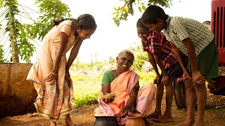 Dry Fish Gravy | Nethili karuvadu Thokku | Anchovies Dry fish Cooking in Village | Primitive Village