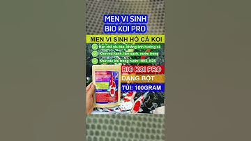Men vi sinh hồ cá koi BIO KOI PRO dạng bột làm sạch cặn bẩn trong nước  #shorts #short #hocakoi