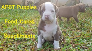 Apbt Puppy Ultimate Guide To American Pitbull Terrier Food&Supplements For Health And Muscle Growth