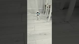 робот моего друга Я у него в гостях сколько он стоит Я тоже такого хочу