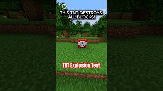 I DESTROYED EVERYTHING WITH ONE TNT! #minecraftshorts