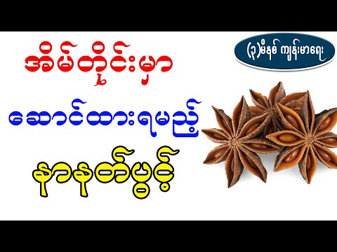 အိမ်တိုင်းမှာဆောင်ထားရမည့် နာနတ်ပွင့်၊  healt benefit of star  anise flower