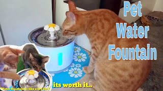 tempat wadah air minum sehat hewan anjing kucing elekrik USB air mancur-pet water fountain dispenser-pompa air mancur sirkulasi air minum hewan
