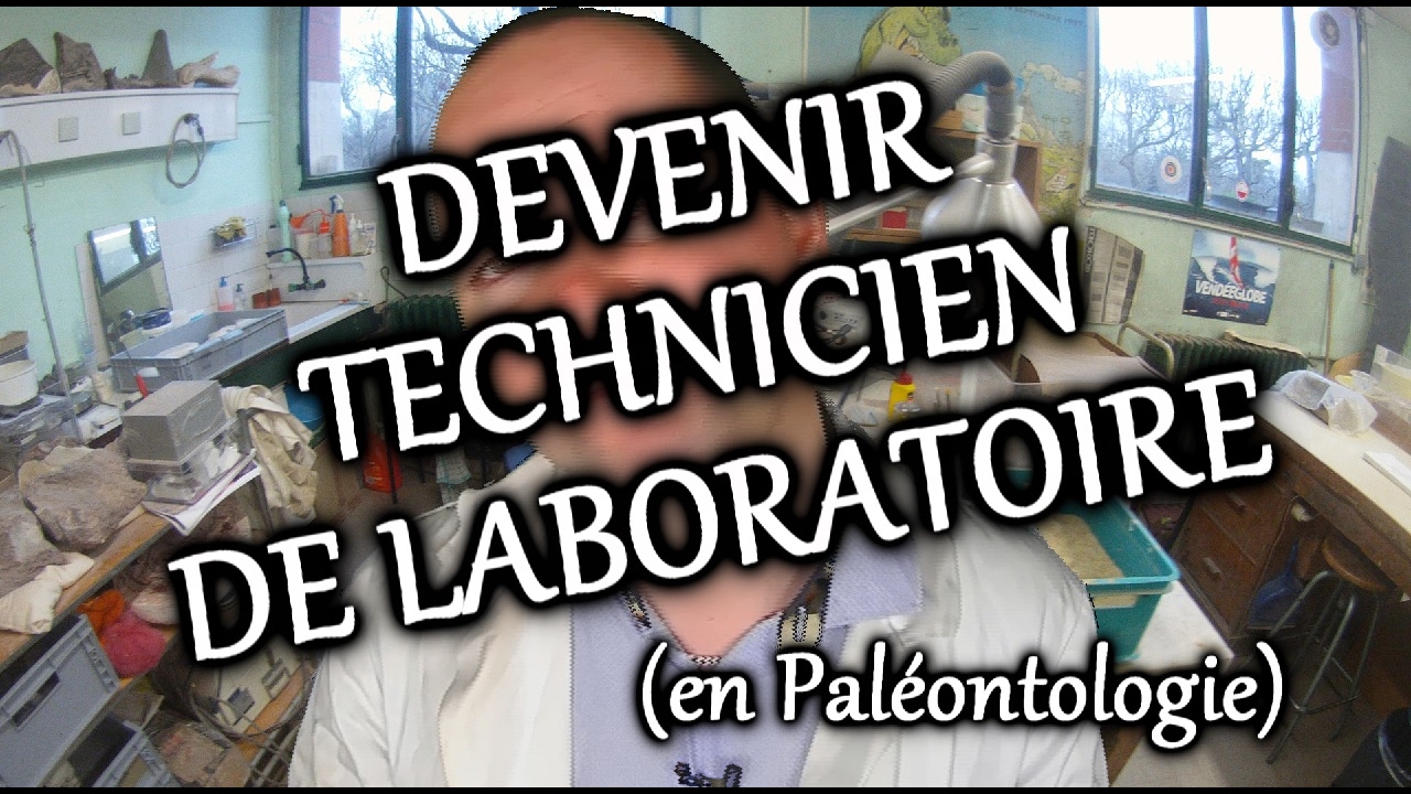 Comment devenir paleontologue