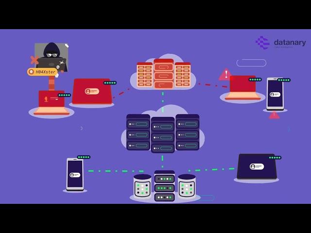 DATANARY DELINEA ( PAM )