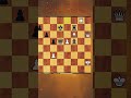 Teknik catur      #viral #catur #chess  #fyp