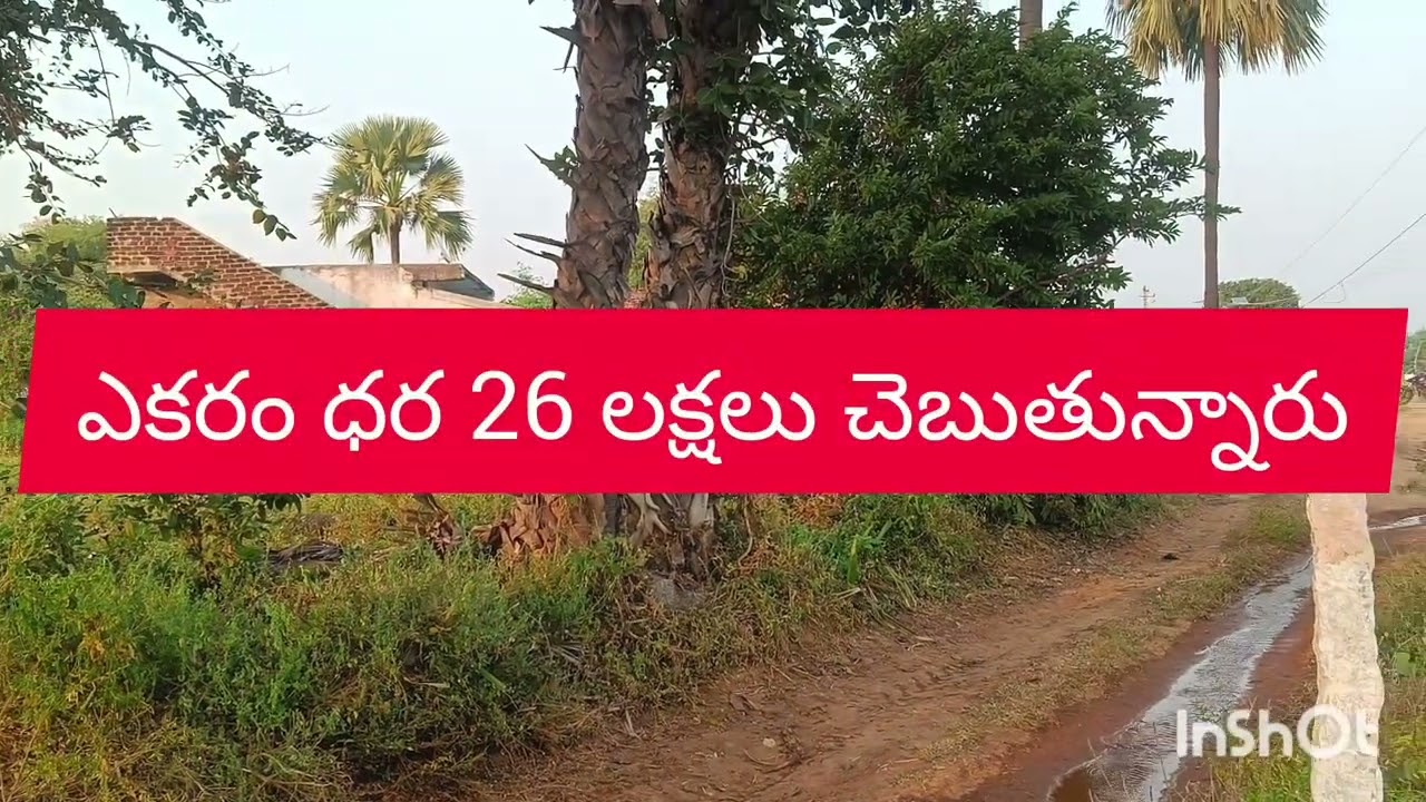 3 ఎకరాల వ్యవసాయ భూమి అమ్మటానికి ఉన్నది 9550145159