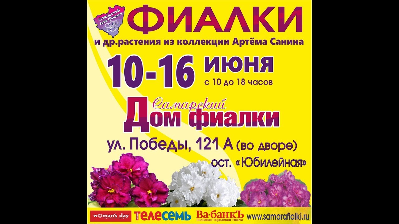 Самарский Дом Фиалки фото 16