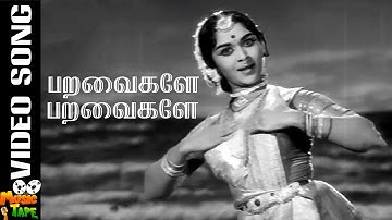 Paravaigale Video Song in Dharmam Thalai Kaakkum Movie | B. Saroja Devi | Tamil video Song.
