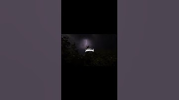 سورة النساء • ياسر الدوسري #قرآن #قران_كريم #اكسبلور #ياسر_الدوسري