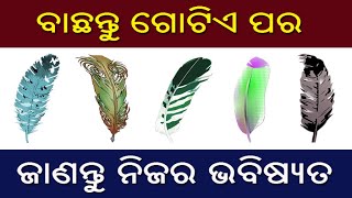 ବାଛନ୍ତୁ ଗୋଟିଏ ପର ଓ ଜାଣନ୍ତୁ ଆପଣଙ୍କର ଭବିଷ୍ୟତ // Bachantu gotie para o janantu nijara bhabisyata screenshot 4