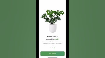 Splash Screen - Onboarding - Log In - Sign Up - Forgot Password - Plant Shop | Flutter UI