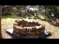 Building a Round Wood Stack