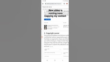 Doing copyright takedown request