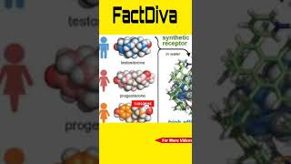 यह Repest क मलत ह य सज