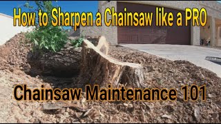 How to Sharpen a ChainSaw...Chainsaw Maintenance 101... Sharpen a chainsaw like a PRO