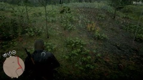 Red Dead Redemption 2 Hillbilly Pit Trap!!!