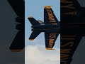Blue Angels Jet Experience 🔥 Aviation Shorts