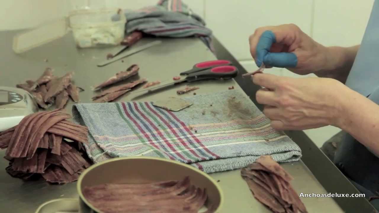 Anchoas Catalina | Así se elaboran las mejores Anchoas 2024