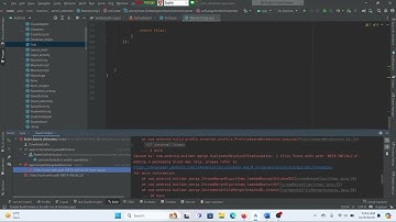 how to fix  2 files found with path 