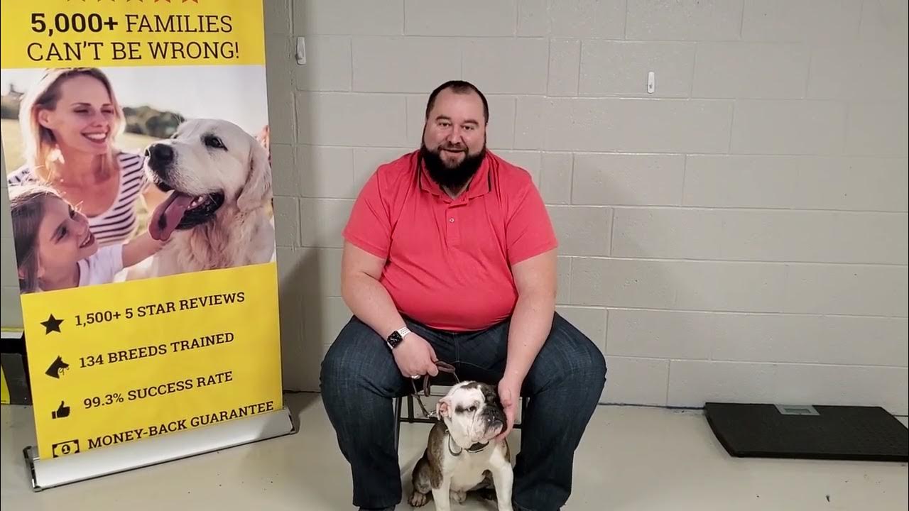 Dog Training Troy MI Tip Top K9 Reviews YouTube