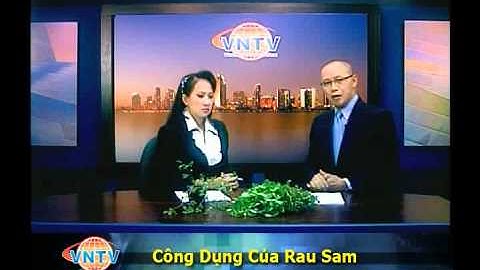 Lợi Ích Của Rau Sam. Rau Sam trong đông y và sức khỏe của người tiêu dùng