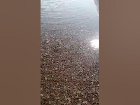 чистота... - YouTube