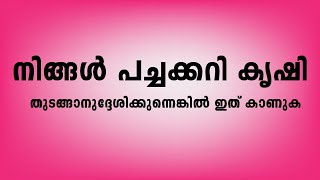 പച്ചക്കറി കൃഷി  ചെയുമ്പോൾ ശ്രദ്ധിക്കേണ്ട കാര്യങ്ങൾ | Pachakari Krishi in Malayalam