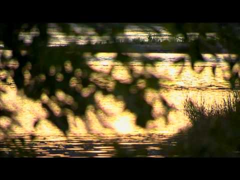 The Natural Environment at Sacred Heart Medical Center at RiverBend