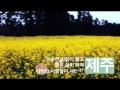 이니스프리의 청정원료를 찾아 떠나는 윤아의 제주 TRAVEL 다이어리-