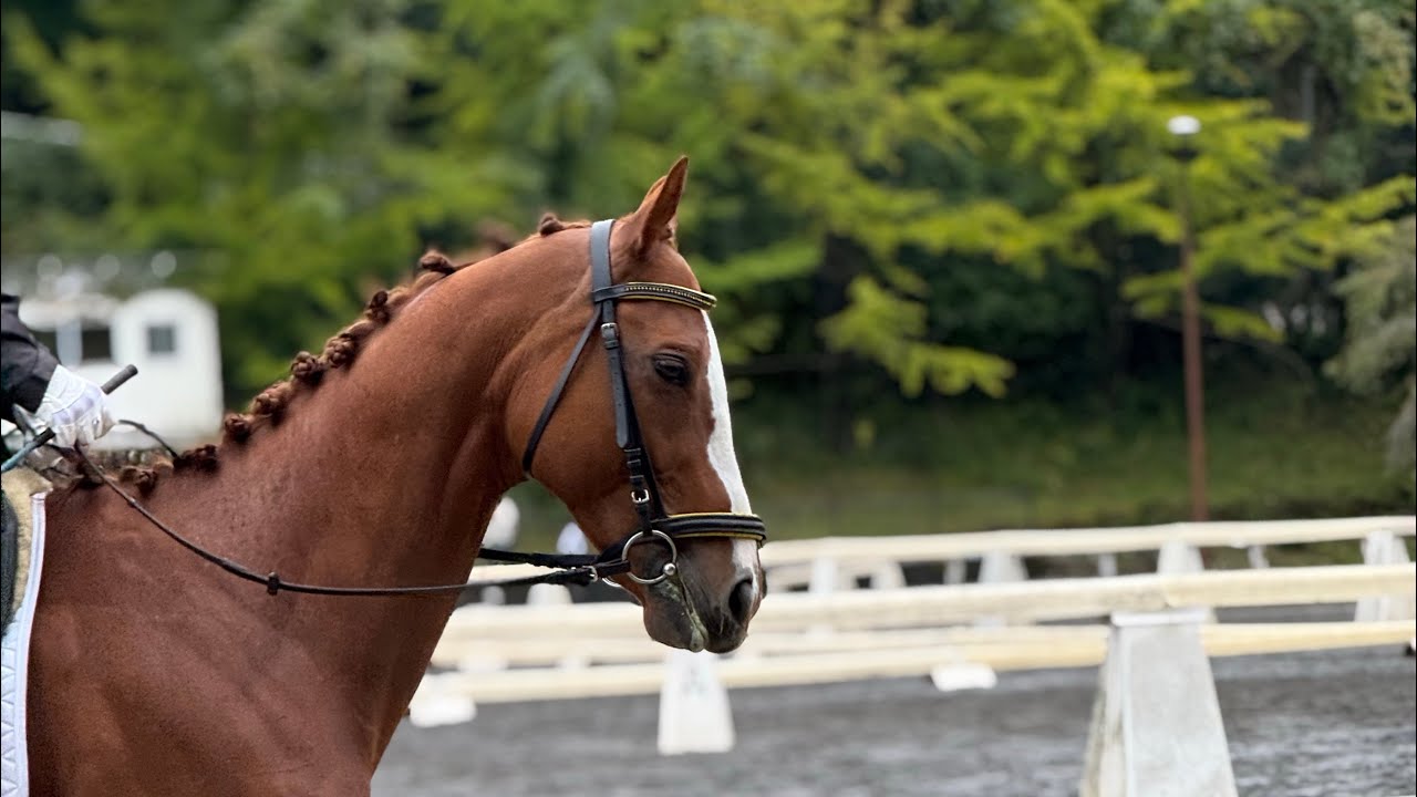 ハミ受けできない人が間違っているところ