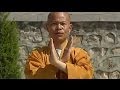 Shaolin kung fu Buddha's 18 hands