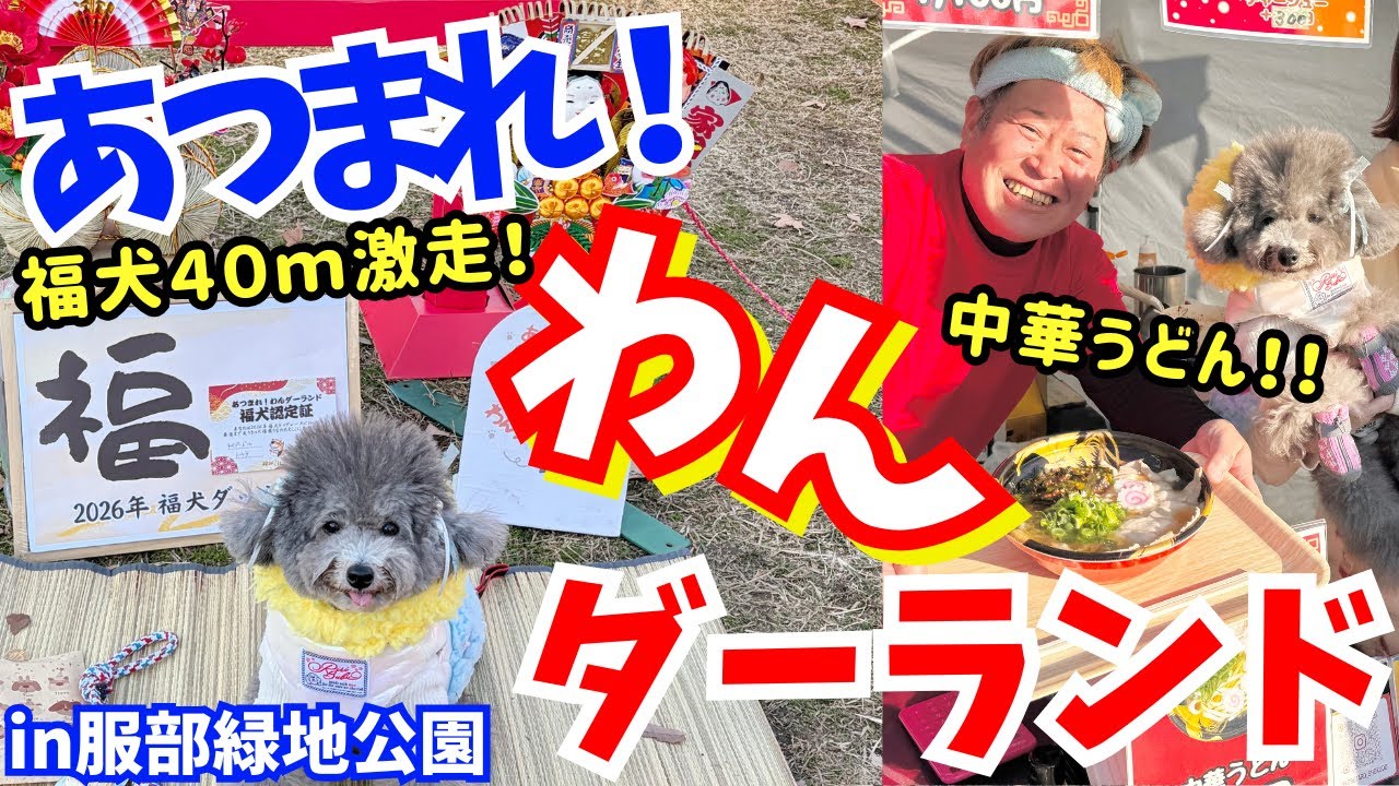 新春初イベントで福犬激走💦大人気中華うどんに全員集合！【あつまれ！わんダーランド】服部緑地公園