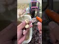 🔴Live Street Food Cooking | Fast Chef Skills, Fresh Taste &amp; Food Lovers Cam的副本